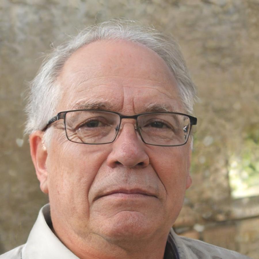 Ritratto di Tomeo Valdani